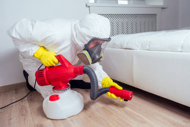 Professional Pest Control in Saybrook On The Lake, OH