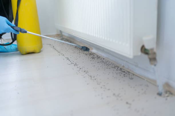 Best Residential Pest Control  in Saybrook On The Lake, OH